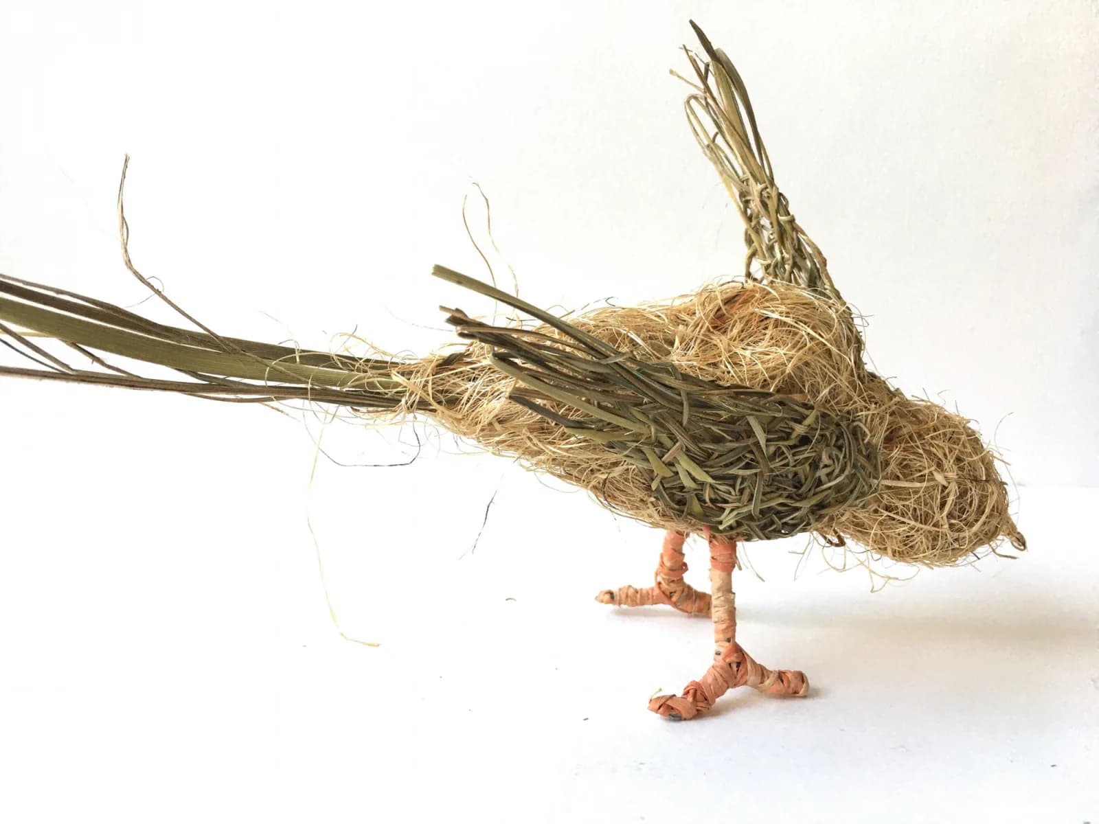 Random Weaving a Small Bird