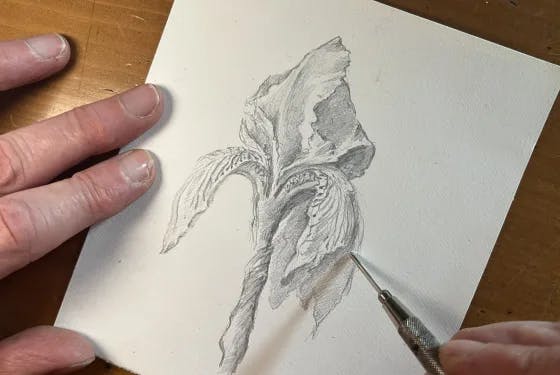 Introduction to Silverpoint  