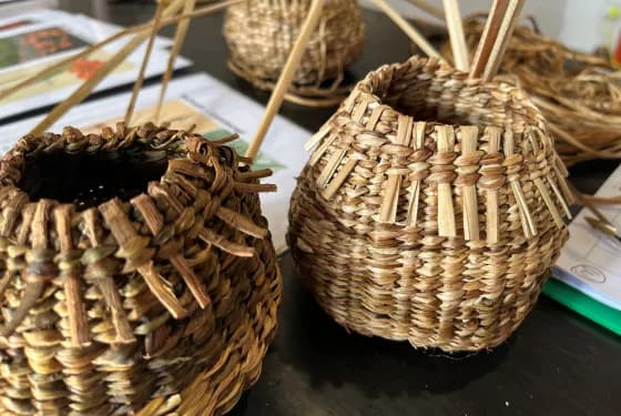 Basketry - Small Twined Basket